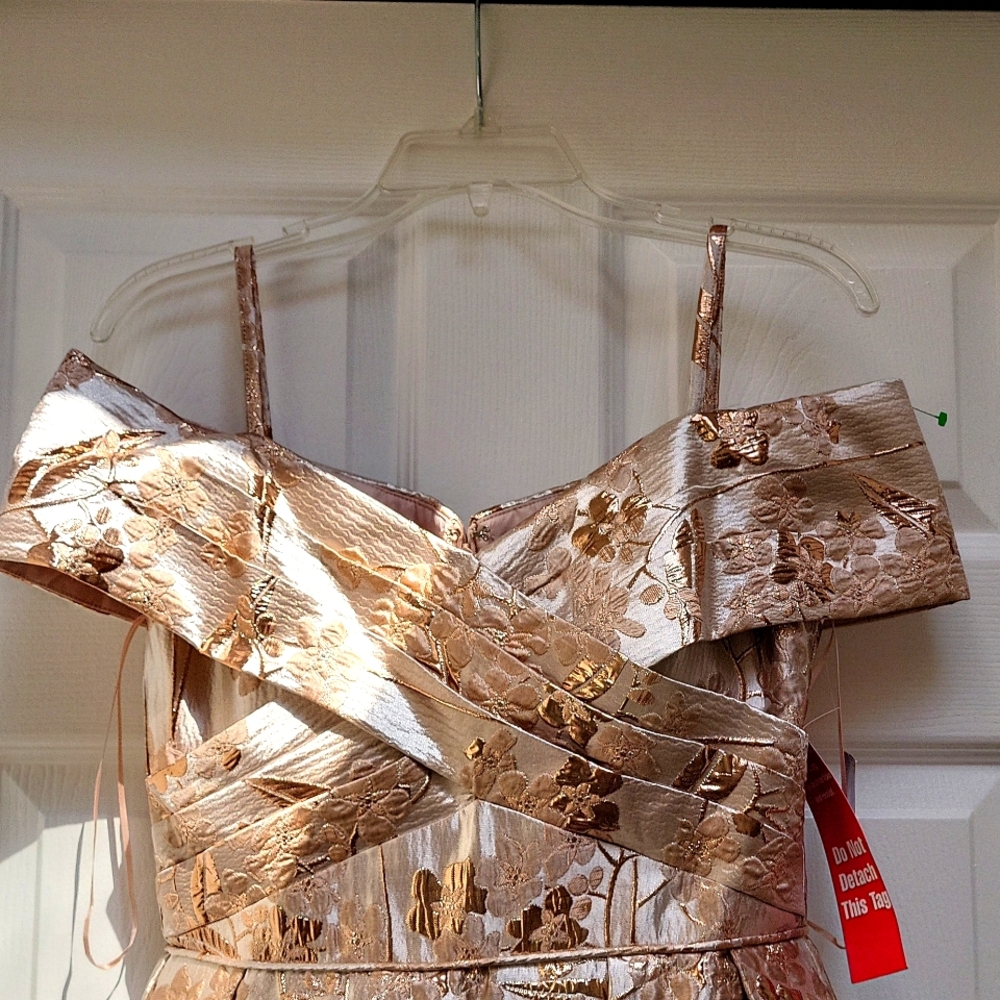 NWT Nightway collection gorgeous  ballgown - Picture 5 of 13